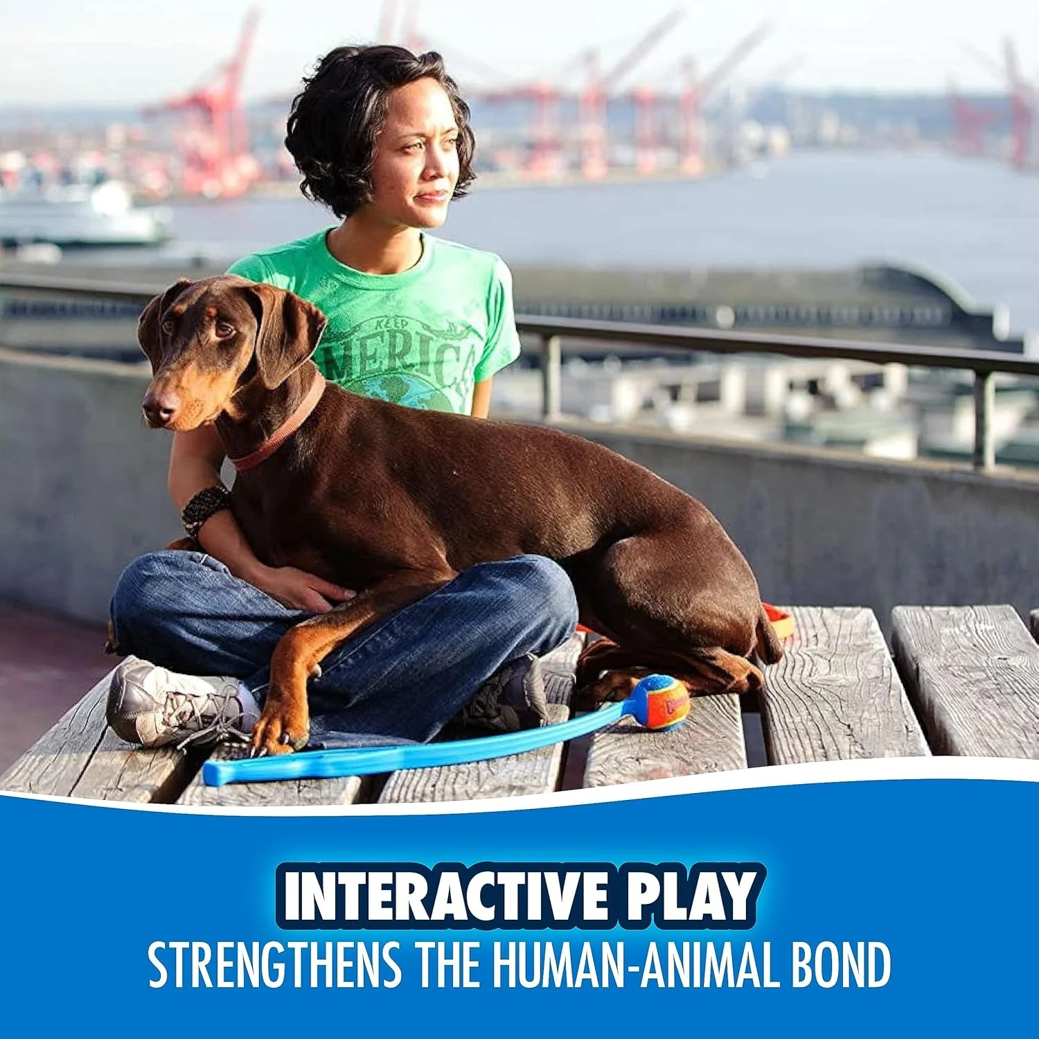 Chuckit Sport Ball Launcher with dog owner and Doberman strengthening human-animal bond