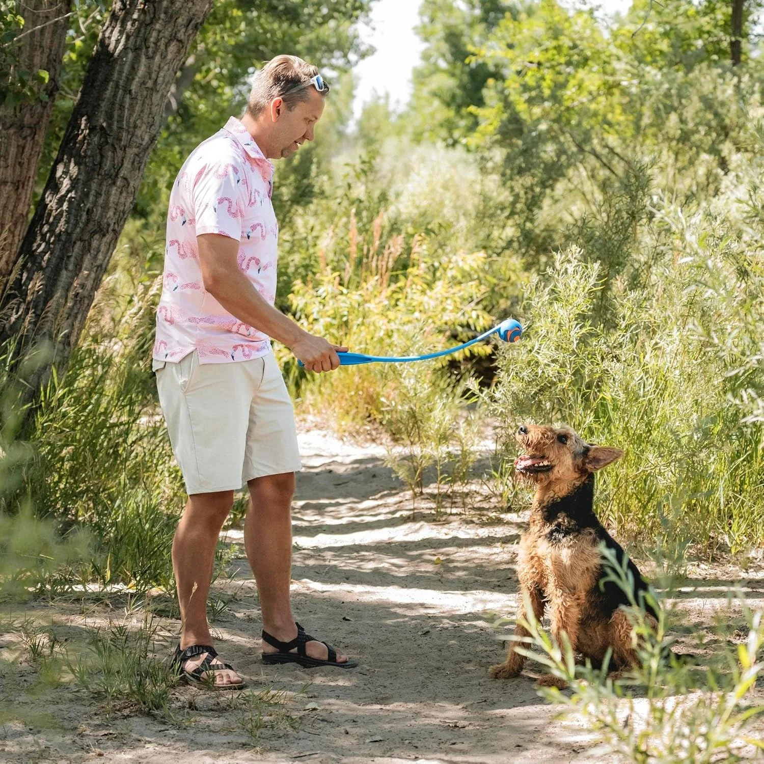 Chuckit ball size guide showing XXL XL L M S sizes for different dog breeds from Cane Corso to Chihuahua