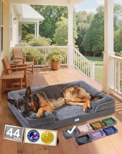 OhGeni Orthopedic Dog Bed