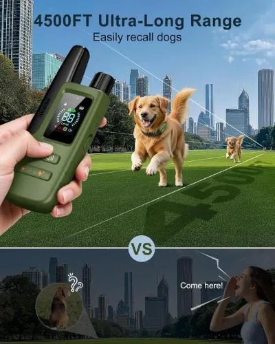 Jugbow Dog Training Collar