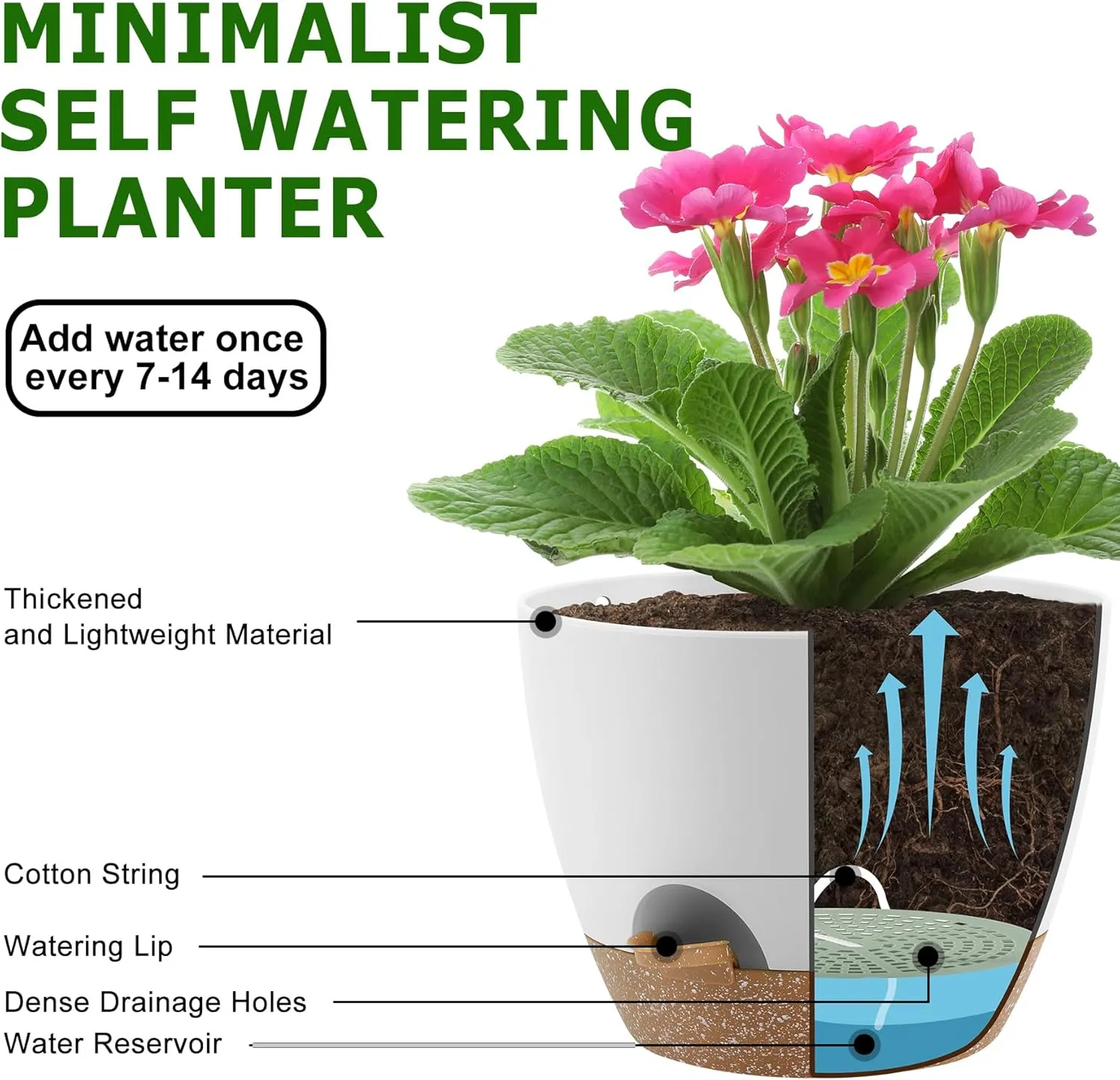 Minimalist self watering planter showing cotton string drainage holes and water reservoir