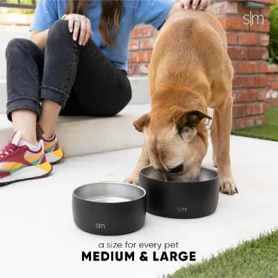 Simple Modern Stainless Steel Pet Water Bowl