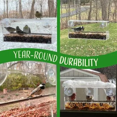 Nature’s Hangout Window Bird Feeder